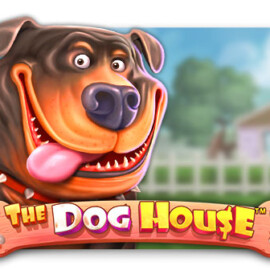 The dog house Tragamonedas